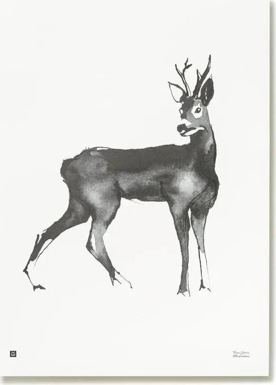 Plakát Roe Deer