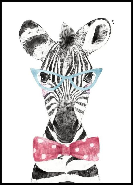 Plakát Zebra Rozměr plakátu: 30 x 40 cm